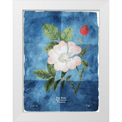 Flower Page Three Blue White Modern Wood Framed Art Print by Villa, Mlli