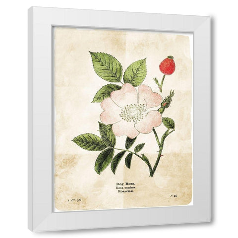 Flower Page Three White Modern Wood Framed Art Print by Villa, Mlli