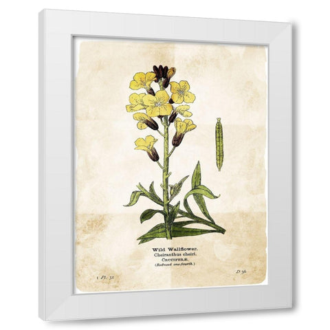 Flower Page Four White Modern Wood Framed Art Print by Villa, Mlli