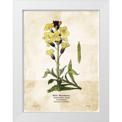 Flower Page Four White Modern Wood Framed Art Print by Villa, Mlli