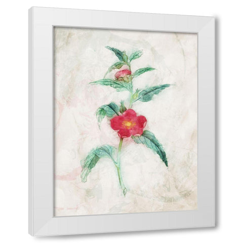 Water Flower White Modern Wood Framed Art Print by Villa, Mlli