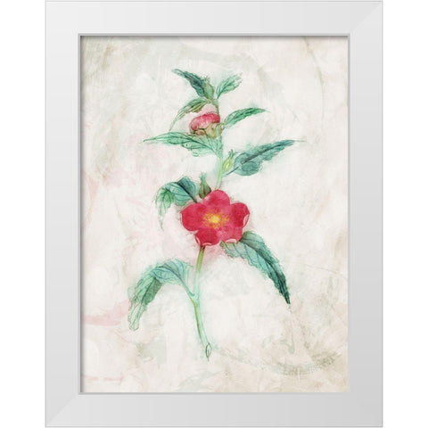 Water Flower White Modern Wood Framed Art Print by Villa, Mlli