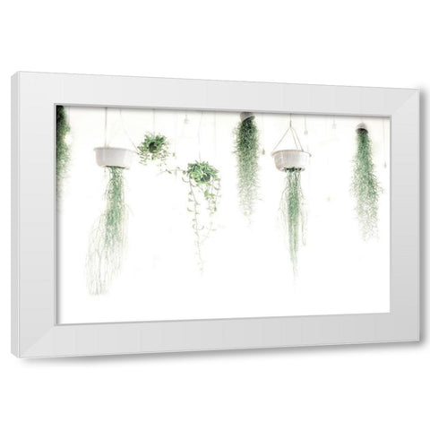 High Plants White Modern Wood Framed Art Print by Villa, Mlli