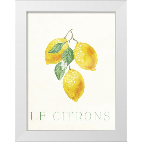 Clean Le Citrons White Modern Wood Framed Art Print by Villa, Milli