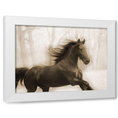 Horse In The Wind White Modern Wood Framed Art Print by Villa, Milli