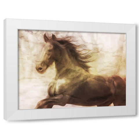 Horse On The Run White Modern Wood Framed Art Print by Villa, Milli
