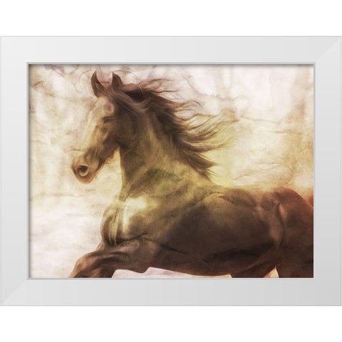 Horse On The Run White Modern Wood Framed Art Print by Villa, Milli