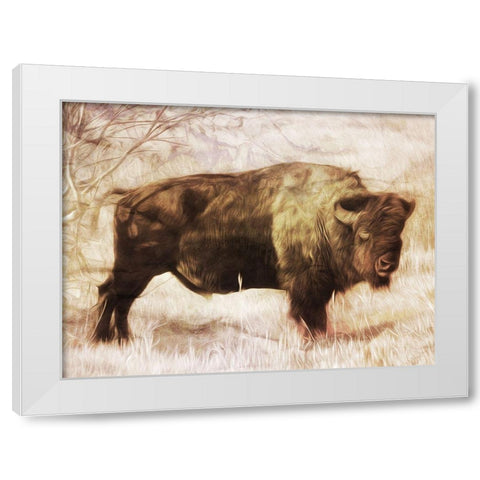 Buffalo Stance White Modern Wood Framed Art Print by Villa, Milli