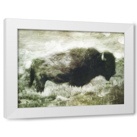 Buffalo Look White Modern Wood Framed Art Print by Villa, Milli