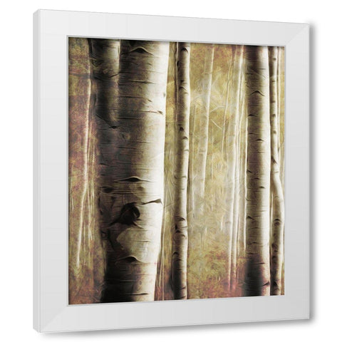 Burnt Birch Family 1 White Modern Wood Framed Art Print by Villa, Milli