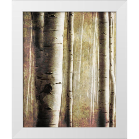 Burnt Birch Family 1 White Modern Wood Framed Art Print by Villa, Milli