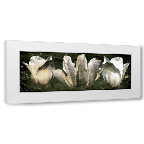 Three Tulips White Modern Wood Framed Art Print by Villa, Milli