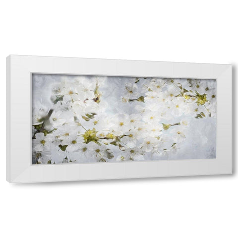 More White Flowers In Grey White Modern Wood Framed Art Print by Villa, Mlli