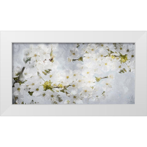 More White Flowers In Grey White Modern Wood Framed Art Print by Villa, Mlli