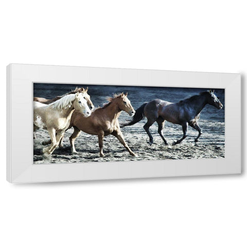 Lets Go Horses White Modern Wood Framed Art Print by Villa, Milli