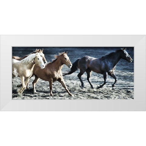 Lets Go Horses White Modern Wood Framed Art Print by Villa, Milli