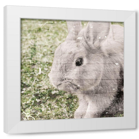 Bunny See White Modern Wood Framed Art Print by Villa, Mlli