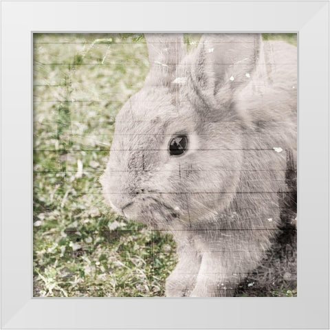 Bunny See White Modern Wood Framed Art Print by Villa, Mlli