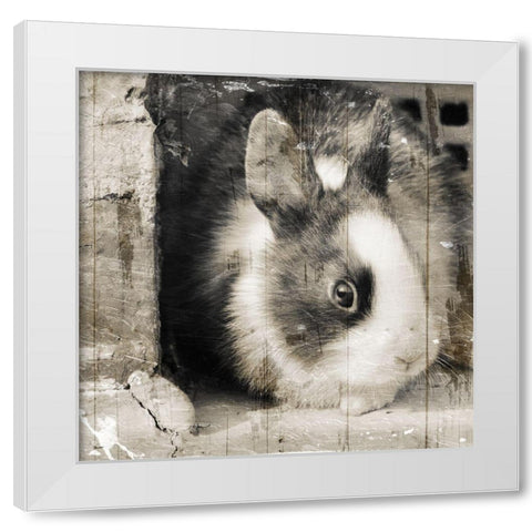 Bunny See Again White Modern Wood Framed Art Print by Villa, Mlli