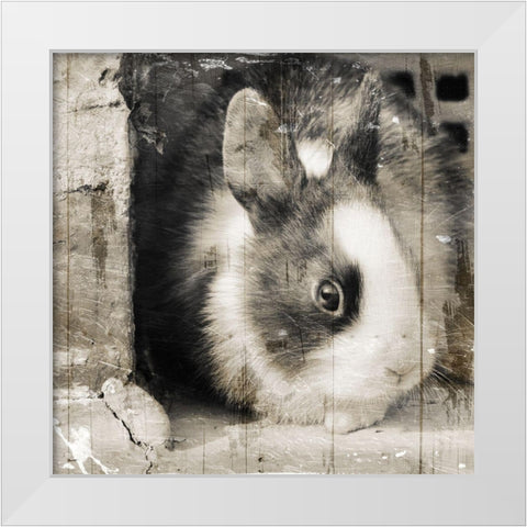 Bunny See Again White Modern Wood Framed Art Print by Villa, Mlli