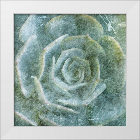 Succulent Through the Fog White Modern Wood Framed Art Print by Villa, Milli