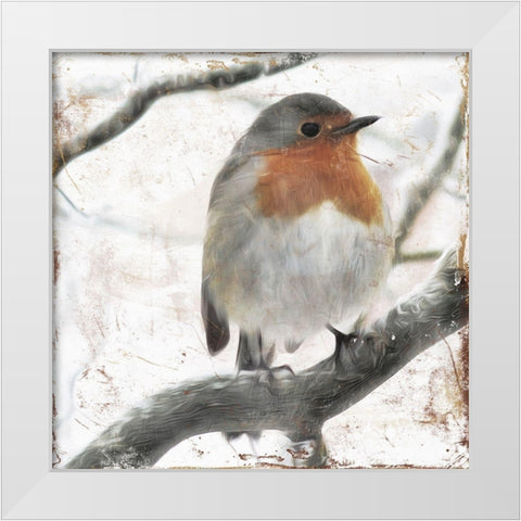 Cold Bird White Modern Wood Framed Art Print by Villa, Mlli