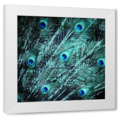 Peacock Spread White Modern Wood Framed Art Print by Villa, Mlli