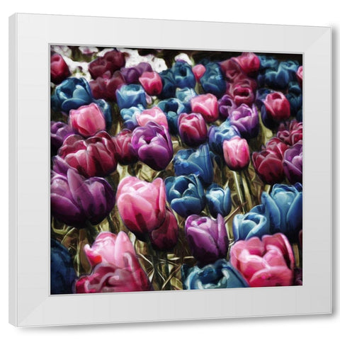 Colorful Tulips White Modern Wood Framed Art Print by Villa, Mlli