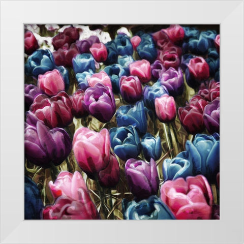 Colorful Tulips White Modern Wood Framed Art Print by Villa, Mlli