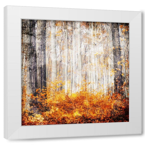 Fall in The Leaves White Modern Wood Framed Art Print by Villa, Mlli