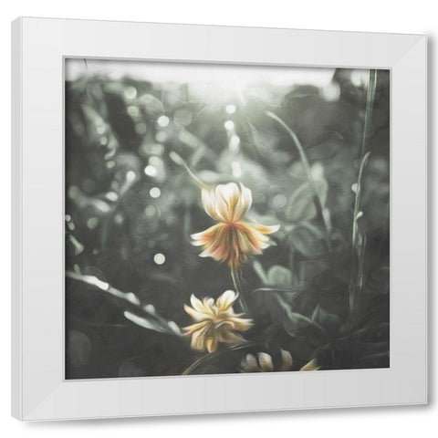 Flower In The Sun White Modern Wood Framed Art Print by Villa, Mlli