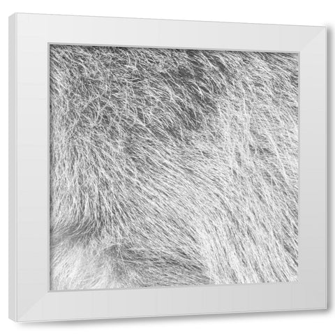 Silver Fur White Modern Wood Framed Art Print by Villa, Mlli