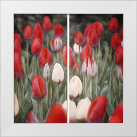 Red Flowers in a Group White Modern Wood Framed Art Print by Villa, Mlli