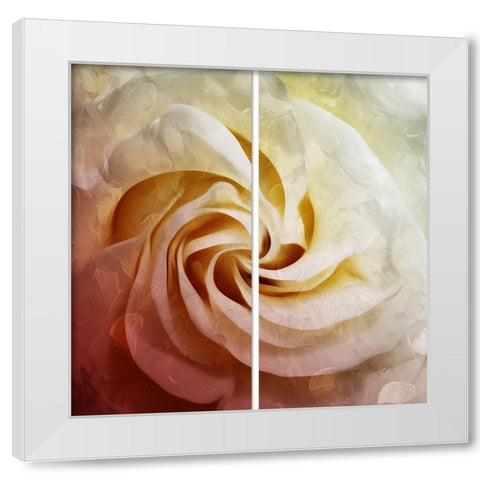 Close To The Flower White Modern Wood Framed Art Print by Villa, Mlli