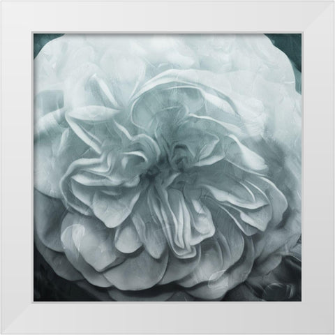 Deep Flower White Modern Wood Framed Art Print by Villa, Mlli