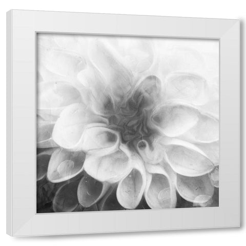 Past Flower White Modern Wood Framed Art Print by Villa, Mlli