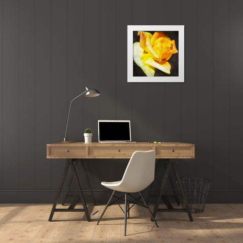 Yellow Rose White Modern Wood Framed Art Print by Villa, Mlli