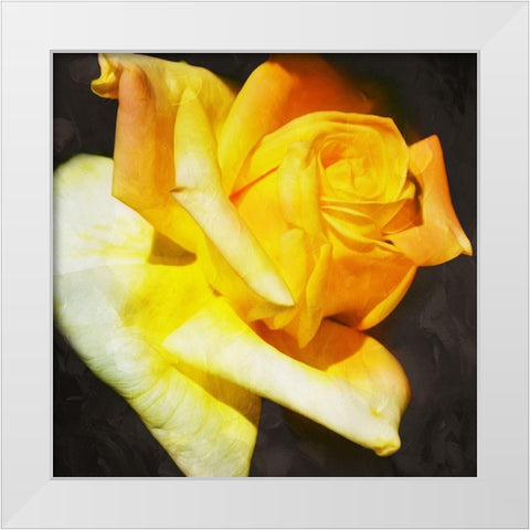 Yellow Rose White Modern Wood Framed Art Print by Villa, Mlli