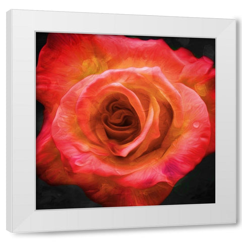 Burning Flower White Modern Wood Framed Art Print by Villa, Mlli