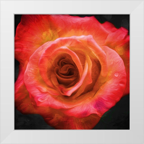 Burning Flower White Modern Wood Framed Art Print by Villa, Mlli