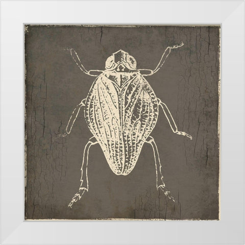 Bug Life One White Modern Wood Framed Art Print by Villa, Mlli