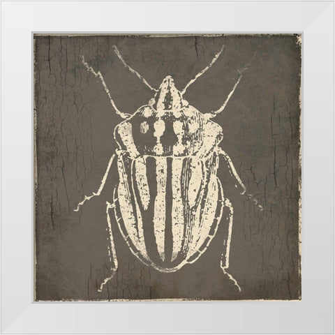 Bug Life Three White Modern Wood Framed Art Print by Villa, Mlli