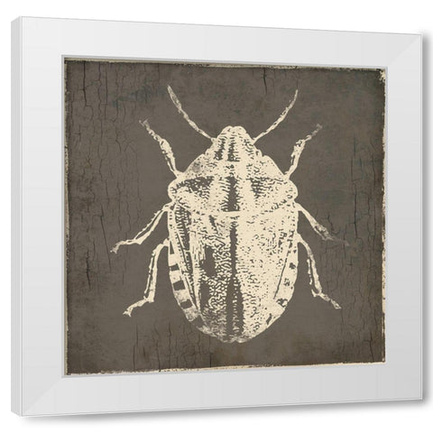 Bug Life Four White Modern Wood Framed Art Print by Villa, Mlli