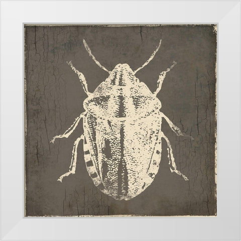 Bug Life Four White Modern Wood Framed Art Print by Villa, Mlli