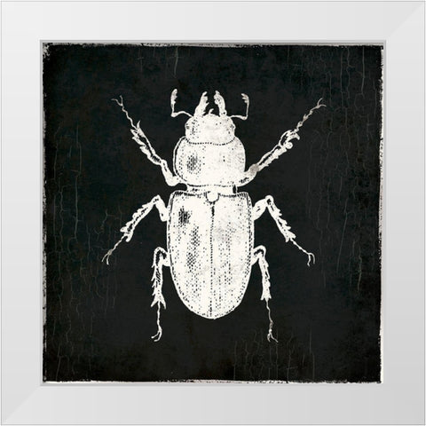 Bug Life Four Black White Modern Wood Framed Art Print by Villa, Mlli