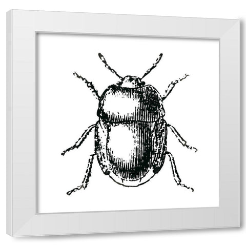 Bug Life White Modern Wood Framed Art Print by Villa, Mlli