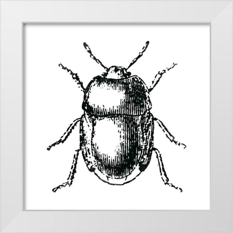 Bug Life White Modern Wood Framed Art Print by Villa, Mlli