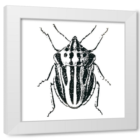 Bug Life Three White Modern Wood Framed Art Print by Villa, Mlli