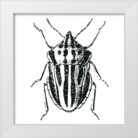 Bug Life Three White Modern Wood Framed Art Print by Villa, Mlli