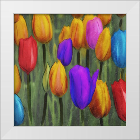 Tulips Patch White Modern Wood Framed Art Print by Villa, Mlli
